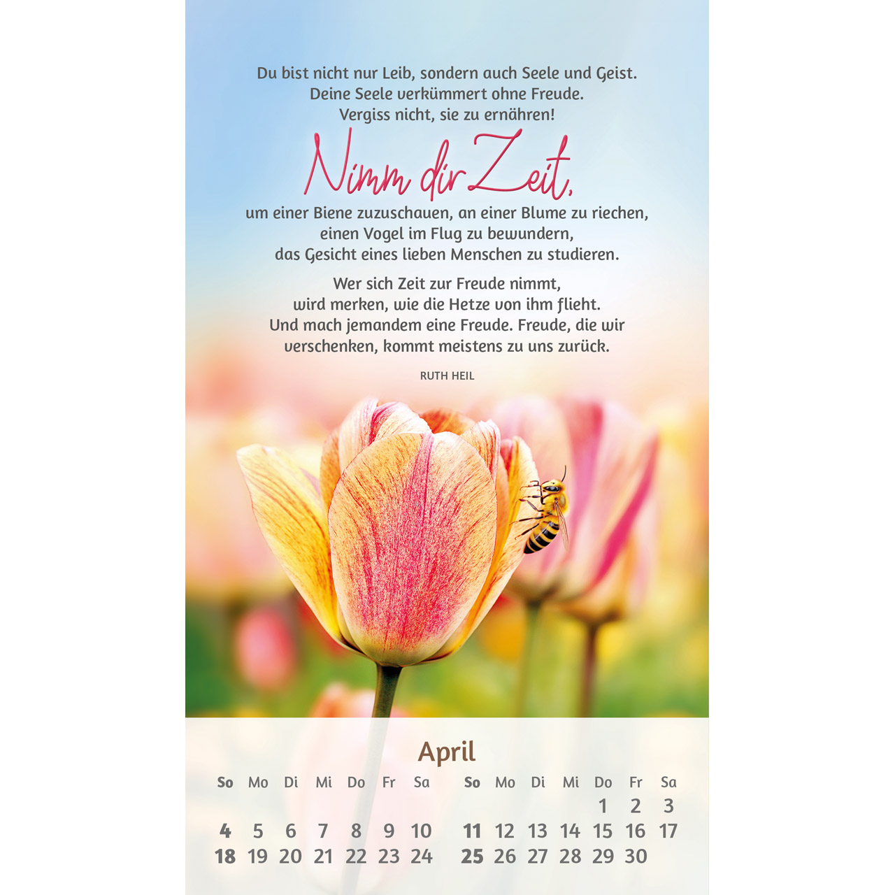 Postkartenkalender - Du bist mir so wertvoll 2027
