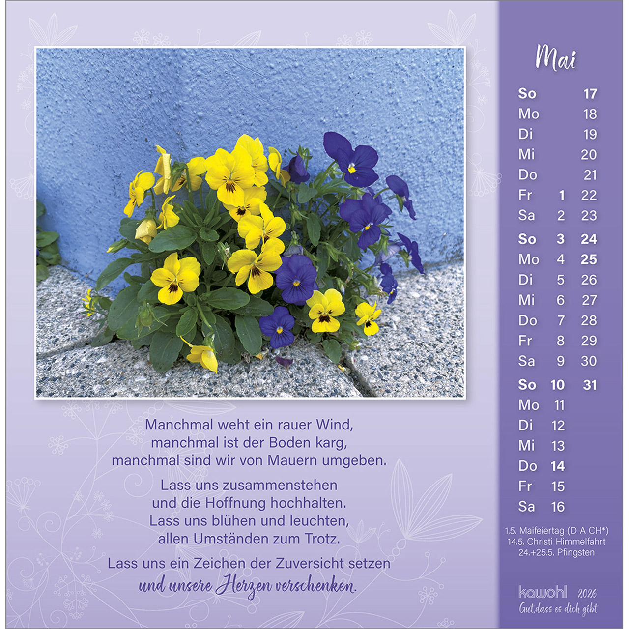 Postkartenkalender - Gut, dass es dich gibt 2026