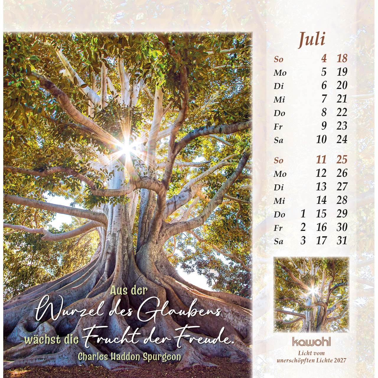 Postkartenkalender - Licht vom unerschöpften Lichte 2027