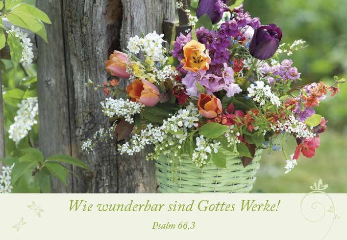 Karten-Box Papier - Neujahrslose "Garten"