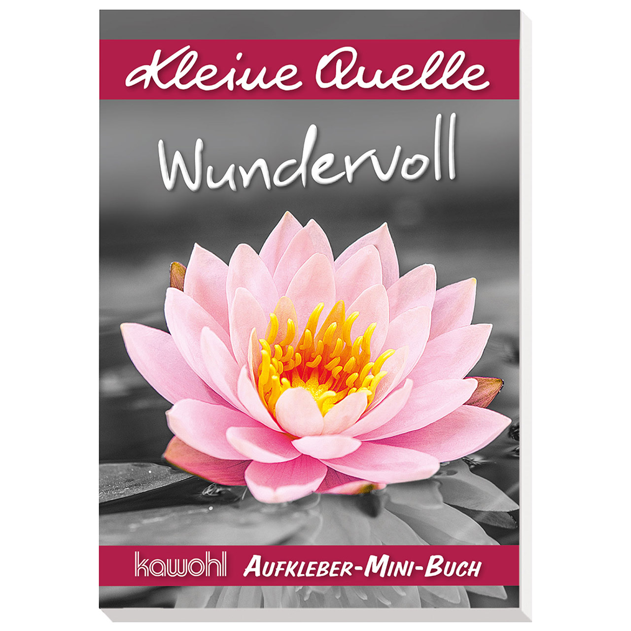 Wundervoll Aufkleberbuch - Wundervoll - S/W + Farbe