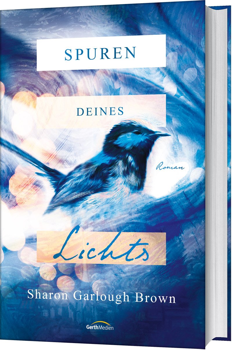 Buch - Spuren deines Lichts