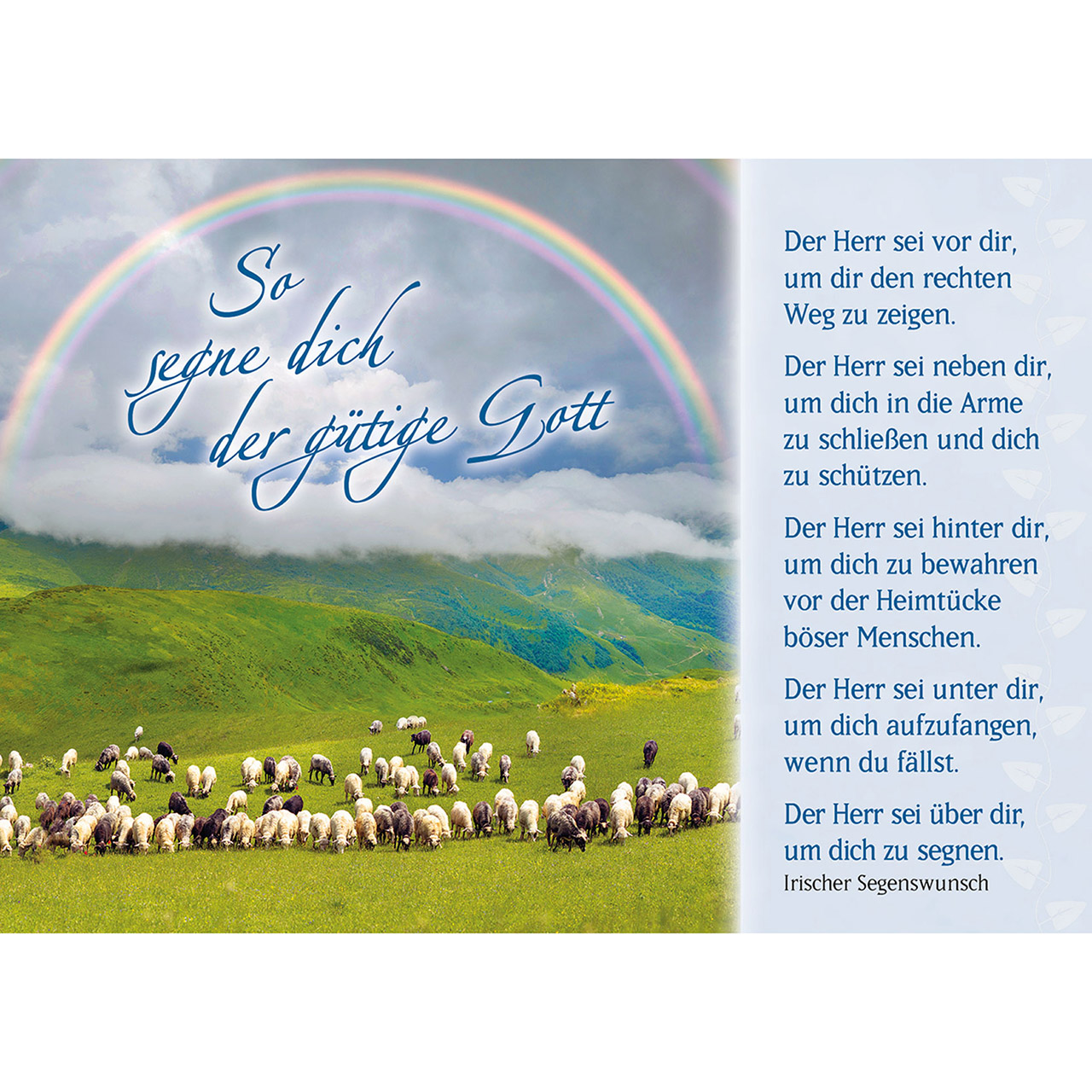 Postkarten-Buch - Der gute Hirte führt uns - Schafe / Lämmer