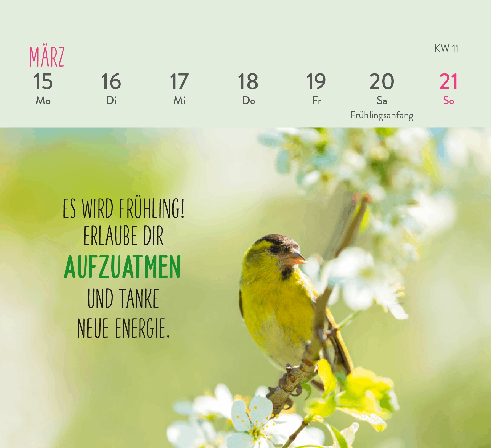 Aufstellkalender - Herzenswünsche für dich 2027