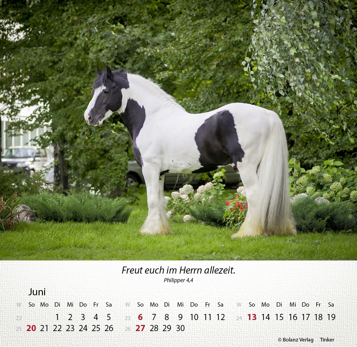 Tischkalender - Pferde 2027 Tischkalender