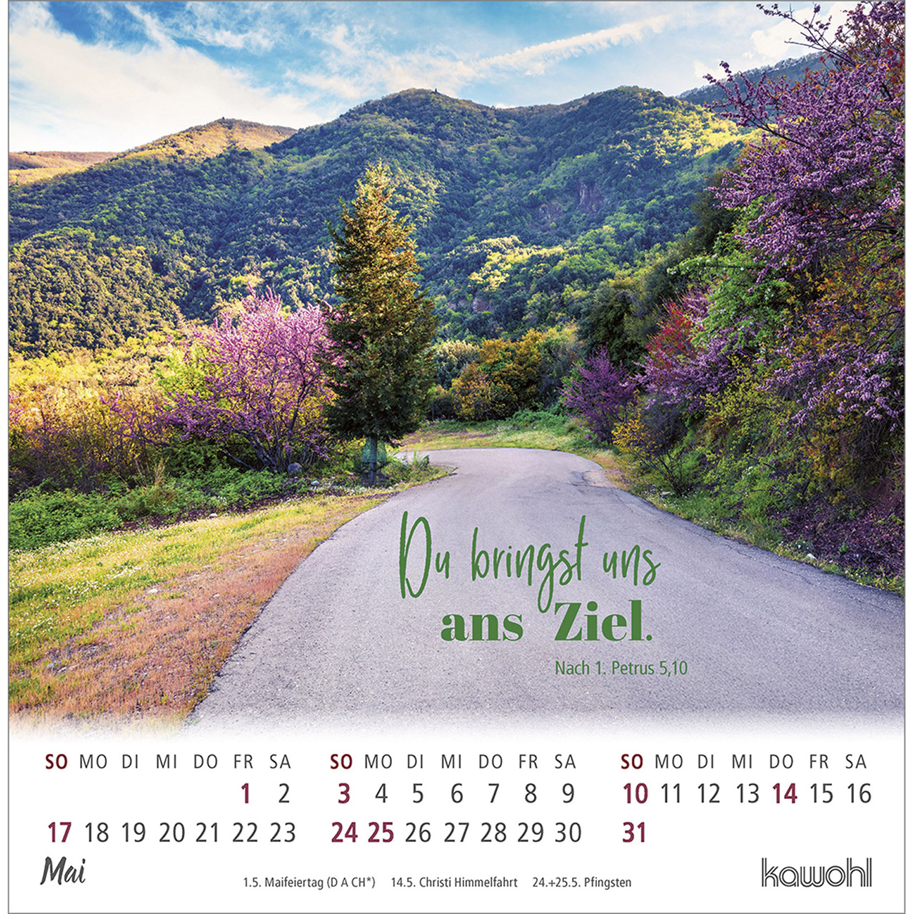 Postkartenkalender - Ankommen & leben 2026