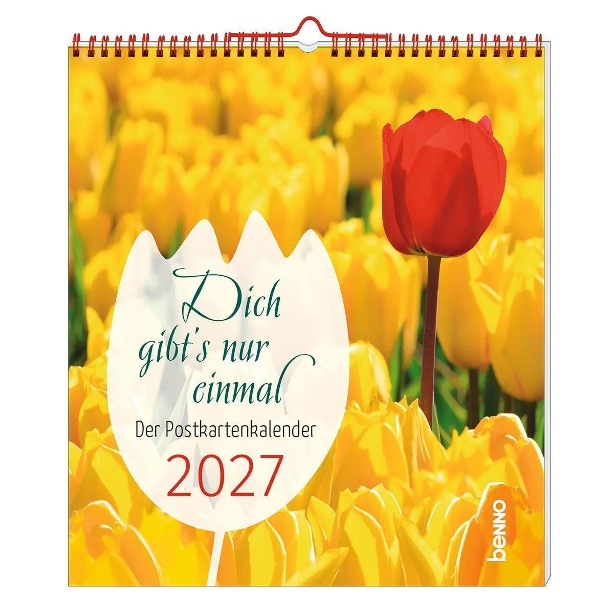 Postkartenkalender - Dich gibt's nur einmal 2027