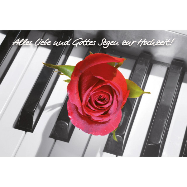 Klaviertasten Rose