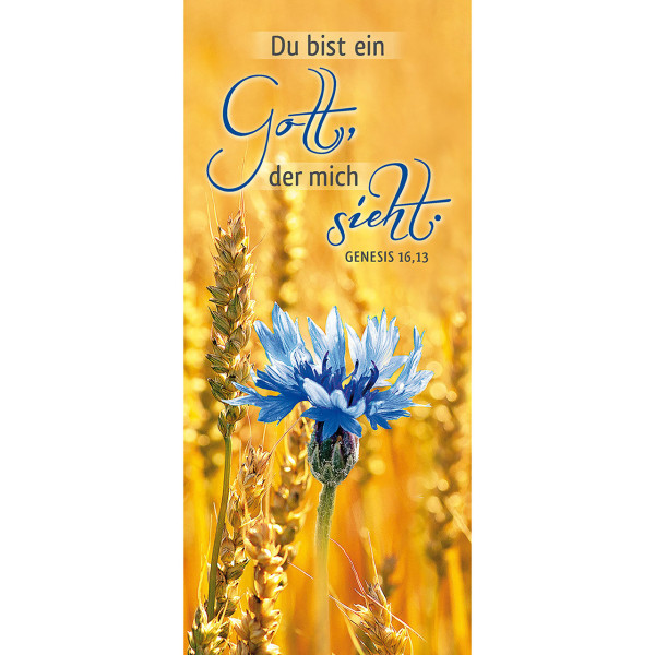 Getreidefeld / Kornfeld mit blauer Korn-Blume