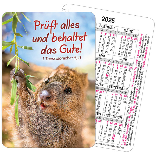 Spielkarten-Kalender 2025 - Tier