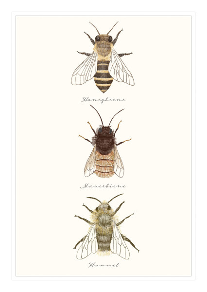 Postkarte 'Bienen'